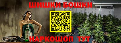 гашик Шебекино