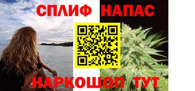 гашик Шебекино