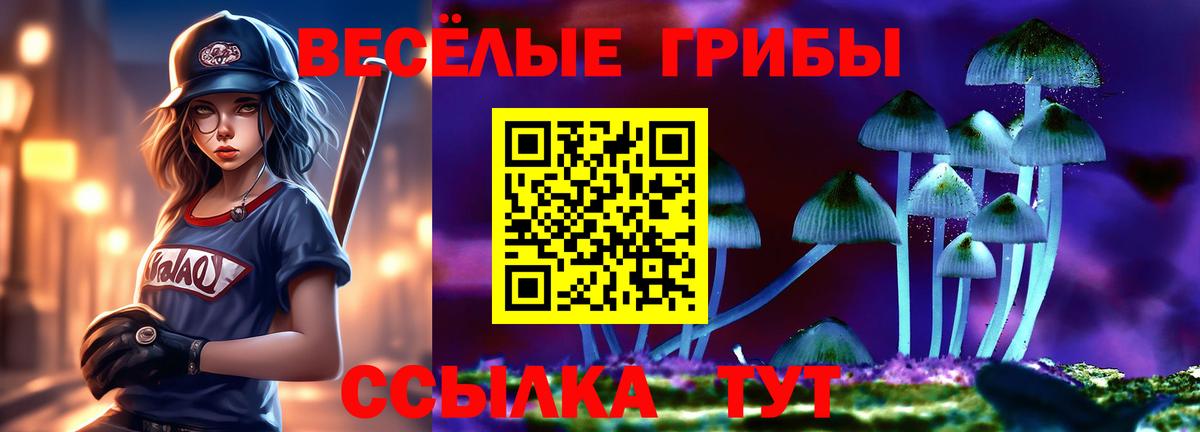 Псилоцибиновые грибы мицелий Кулебаки